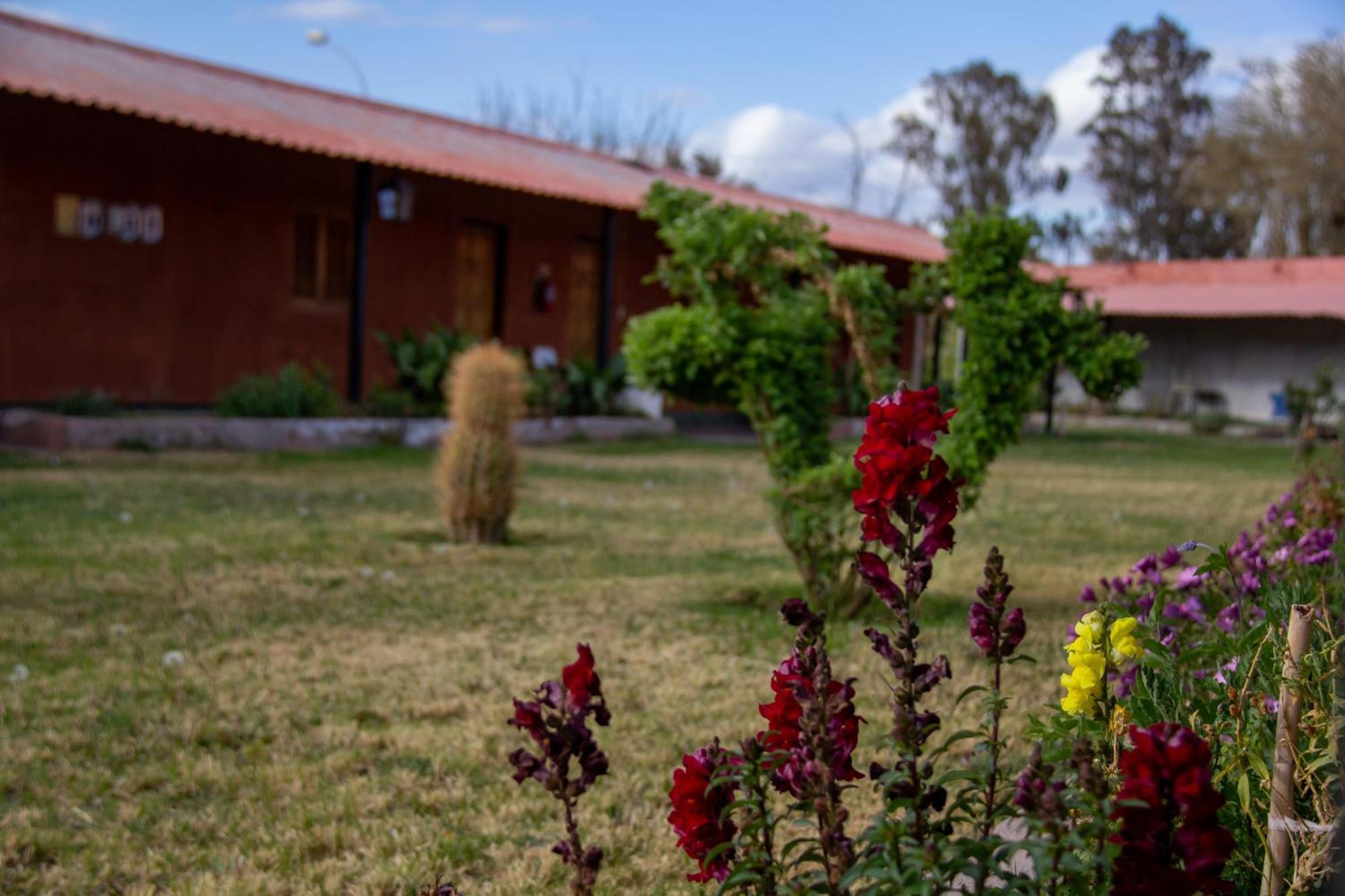 Don Remo Bed & Breakfast Villa Union  Exterior photo